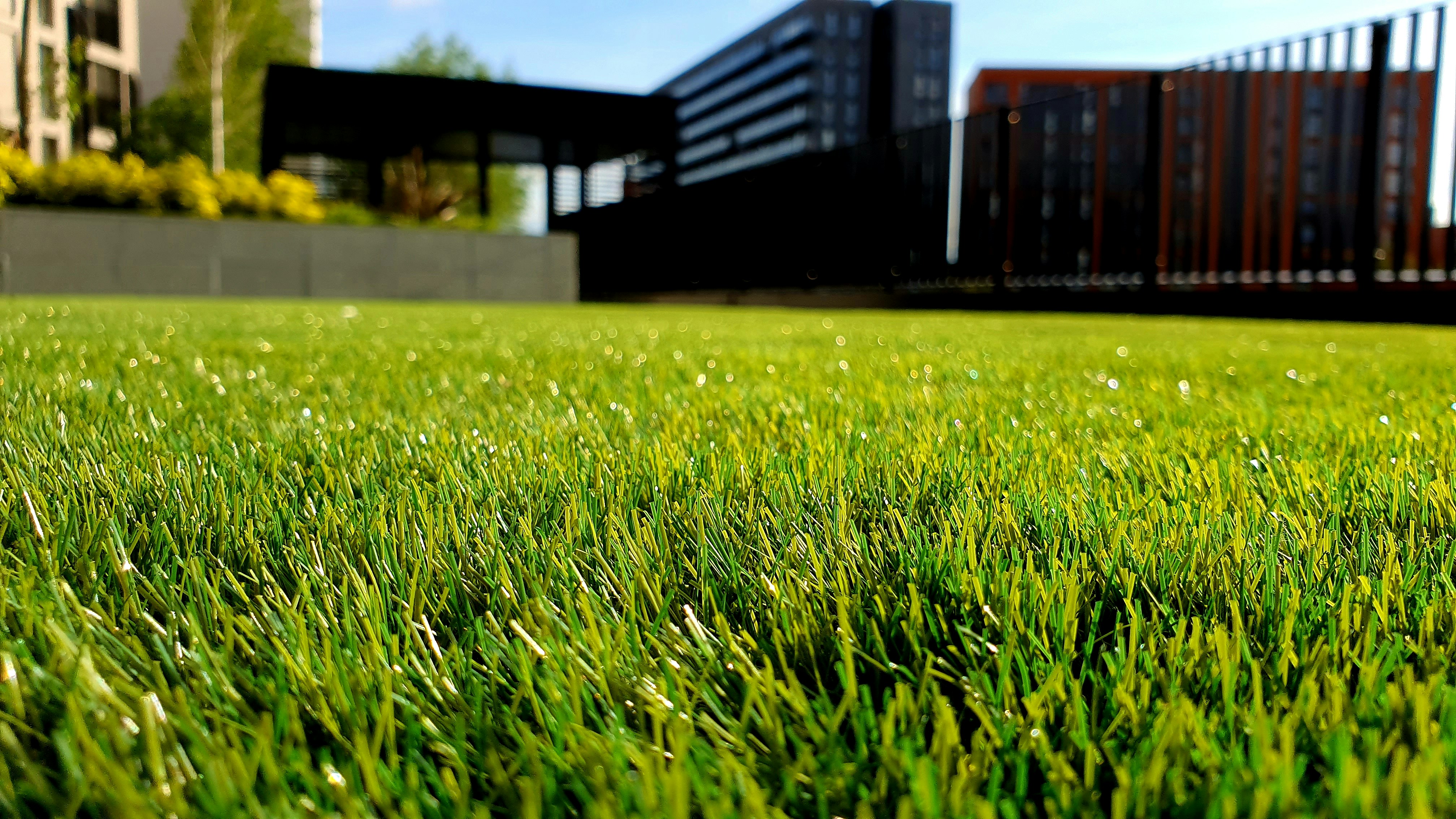 How Often Should You Mow Your Lawn in Brisbane's Summer?